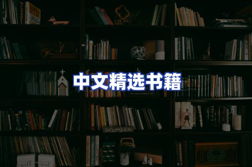 中文精选书籍